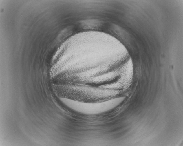 X0000070410265200607072316