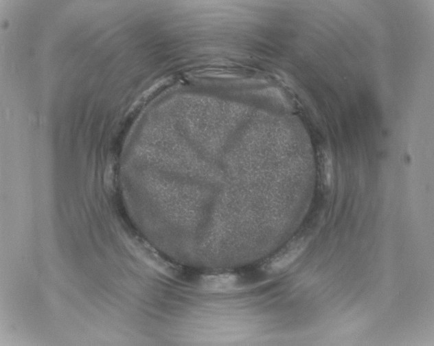 X0000070410266200607072317