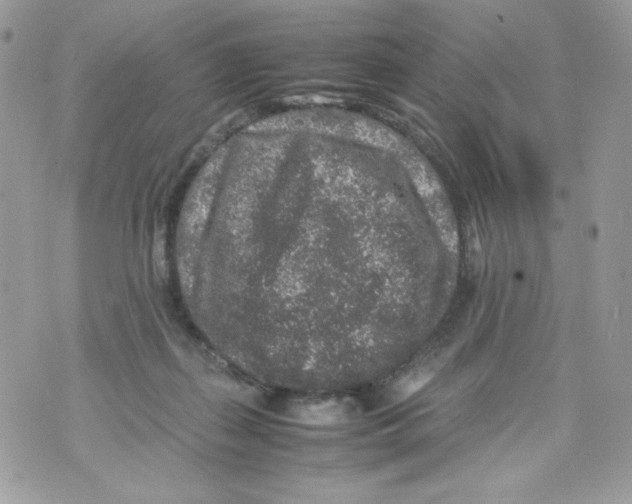 X0000070410267200607072317