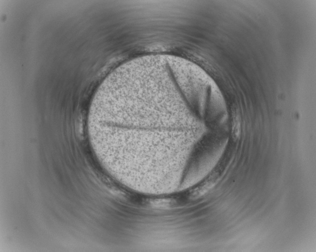 X0000070410268200607072317