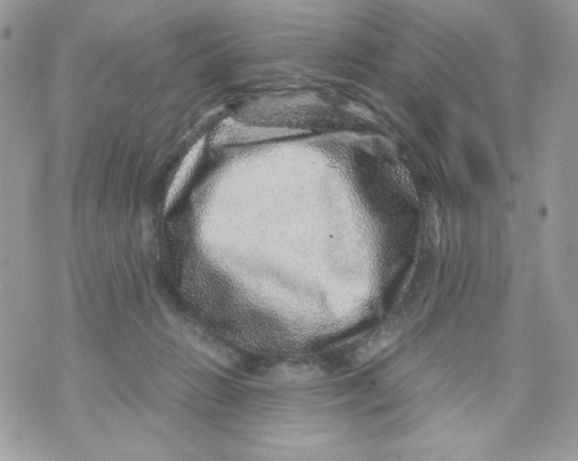 X0000070410270200607072317