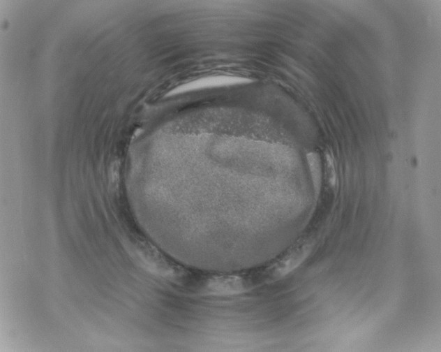 X0000070410271200607072317