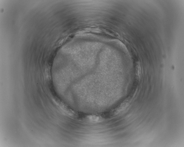 X0000070410272200607072317