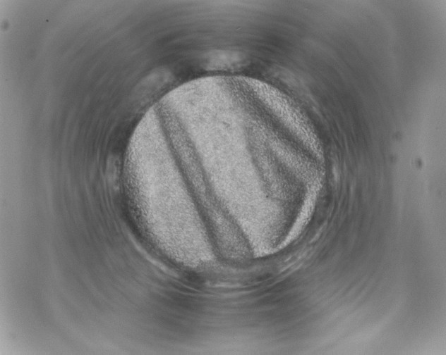 X0000070410273200607072317