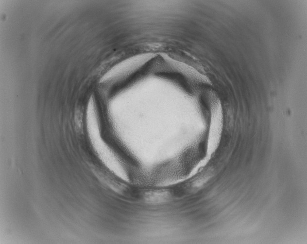 X0000070410274200607072317