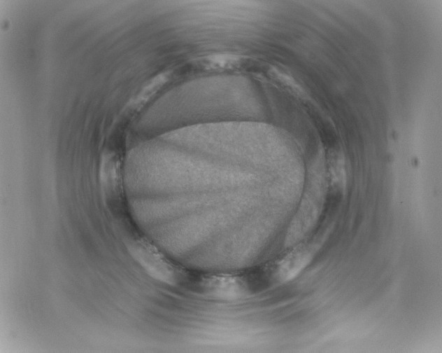 X0000070410276200607072317