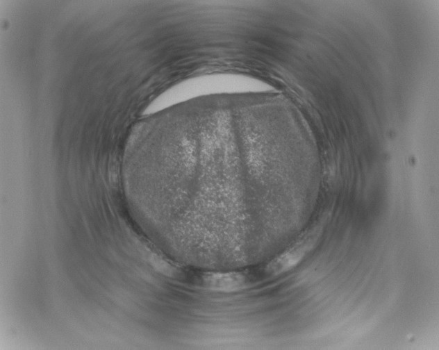 X0000070410277200607072317