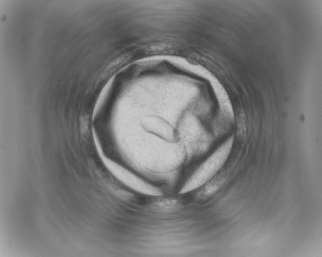 X0000070410278200607072317