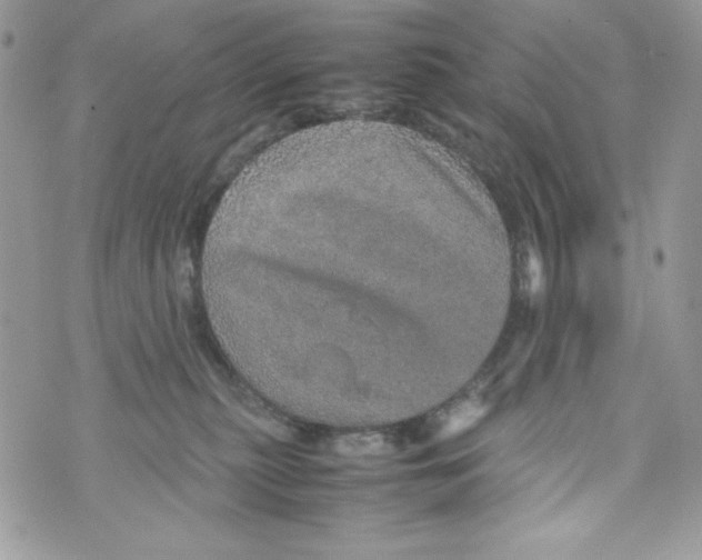 X0000070410279200607072317