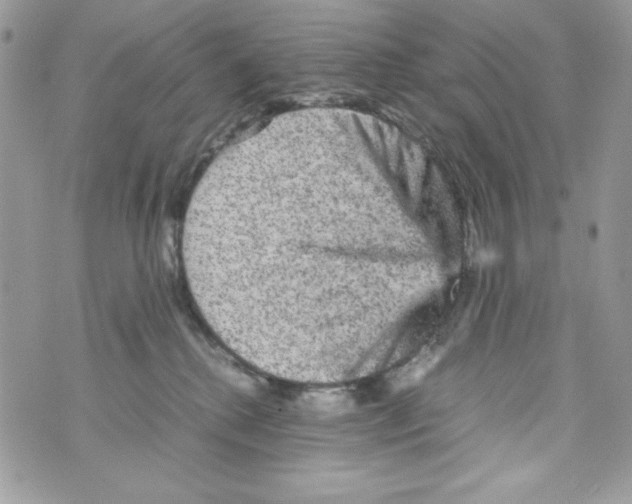 X0000070410280200607072317