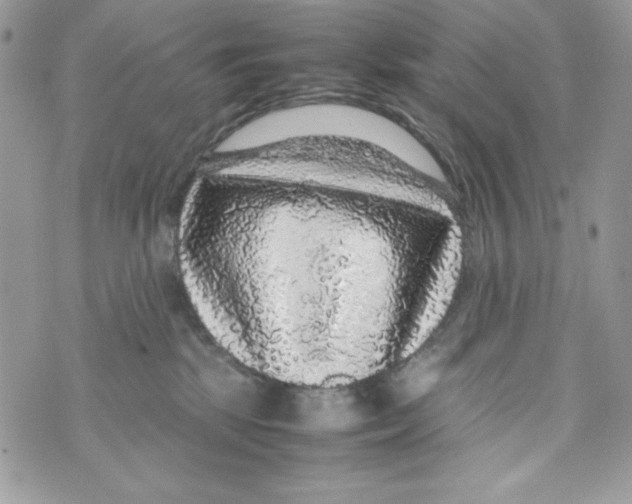 X0000070410281200607072317