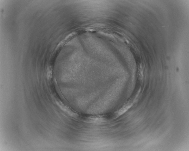 X0000070410284200607072317