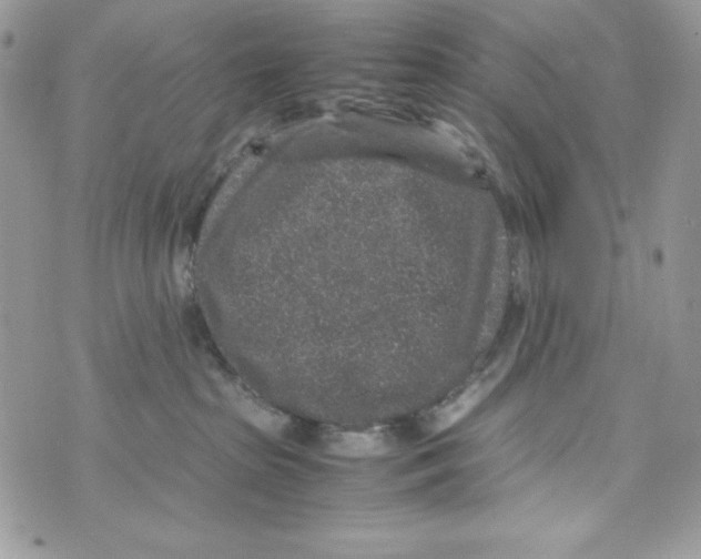 X0000070410285200607072317