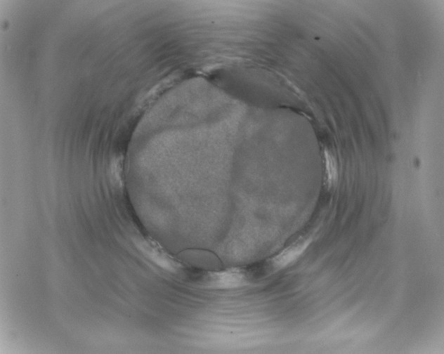 X0000070410286200607072317