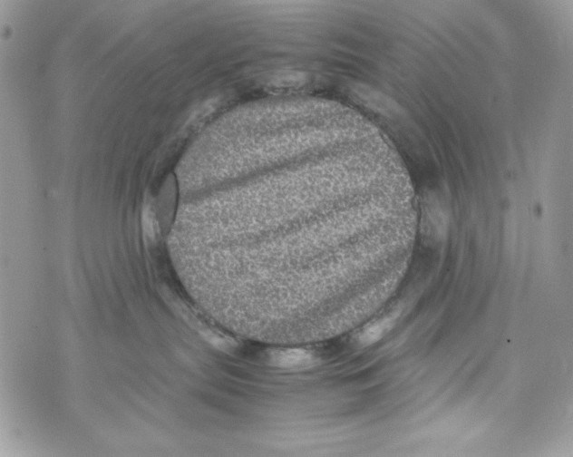 X0000070410287200607072317