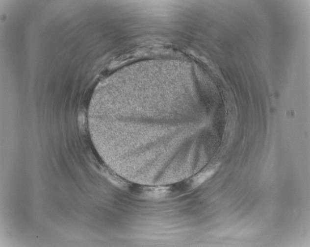 X0000070410288200607072317