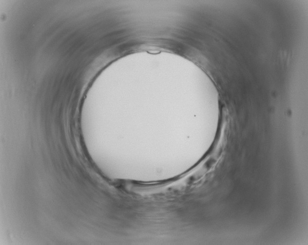 X0000070410289200607072316