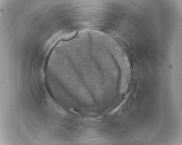 X0000070410290200607072316