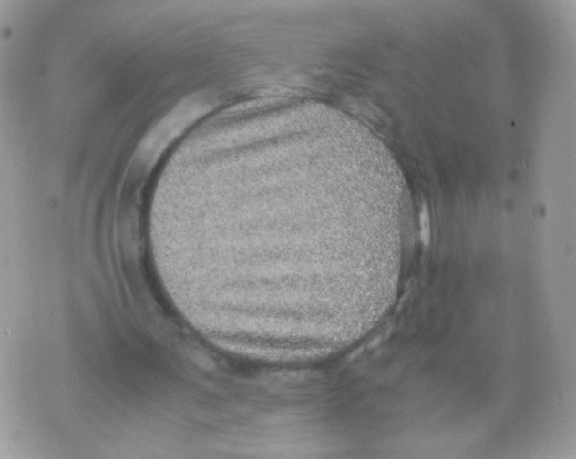 X0000070410291200607072316