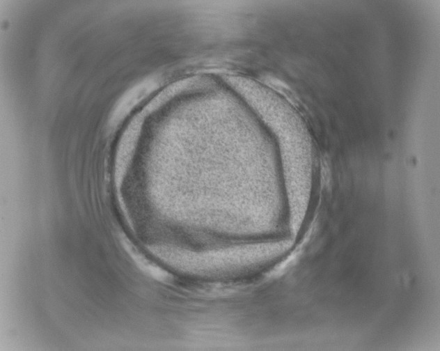 X0000070410293200607072316