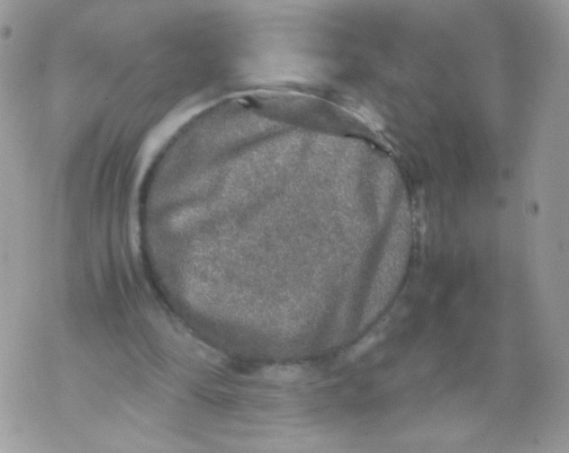 X0000070410294200607072316