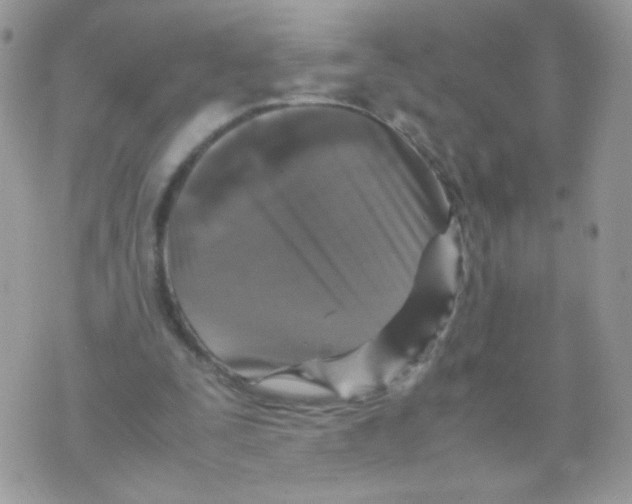 X0000070410295200607072316