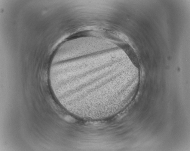 X0000070410297200607072316