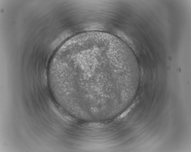 X0000070410298200607072316