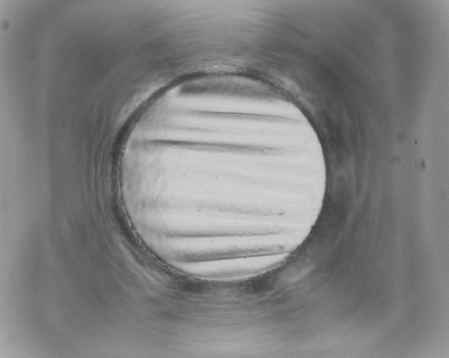 X0000070410299200607072316