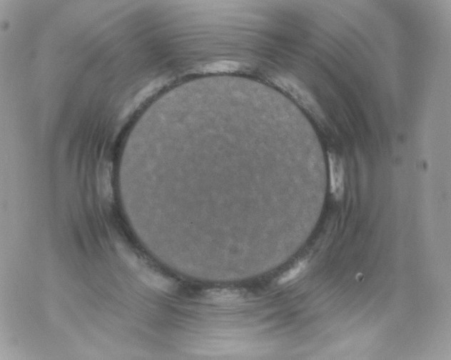 X0000070410300200607072316