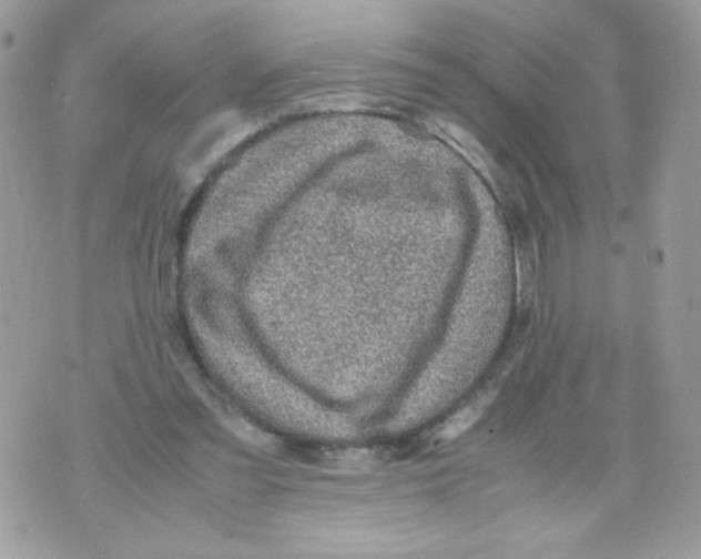 X0000070410301200607072316