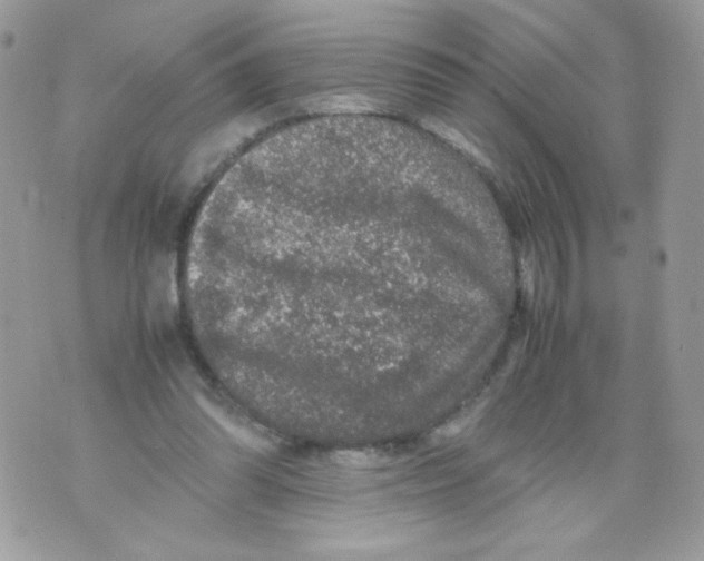 X0000070410302200607072316