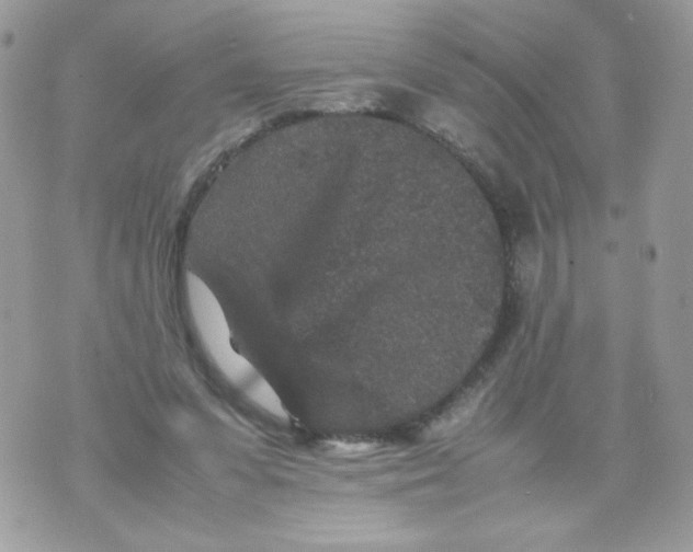 X0000070410303200607072316