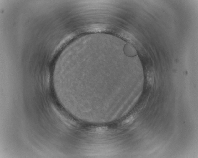 X0000070410304200607072316