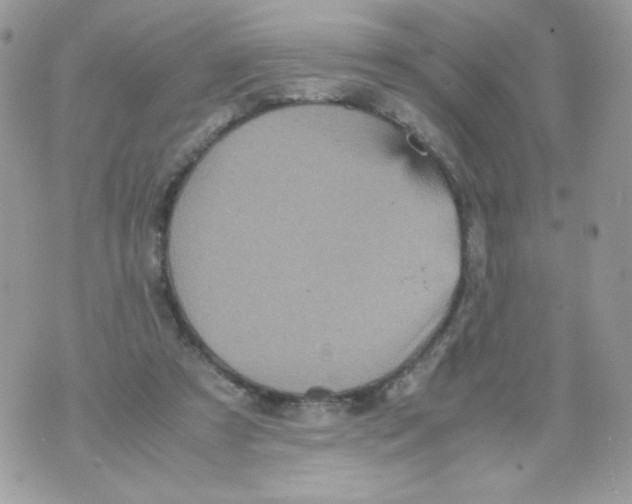 X0000070410305200607072316