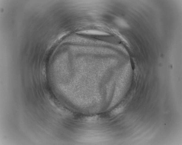 X0000070410306200607072316