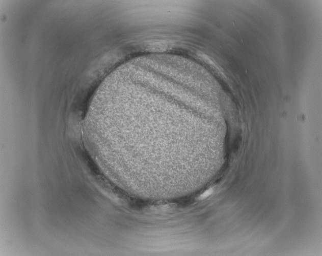 X0000070410307200607072316