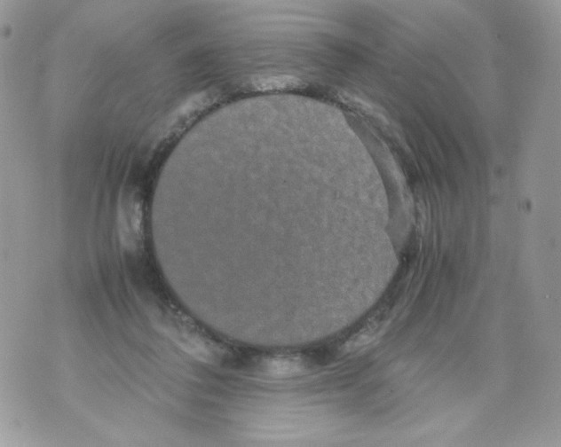 X0000070410308200607072316