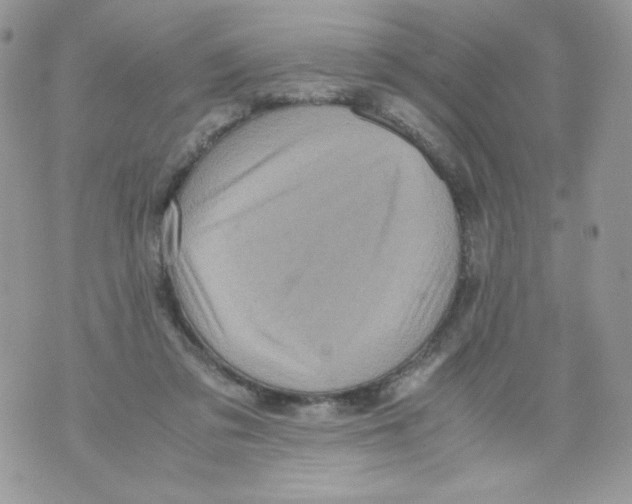 X0000070410309200607072316