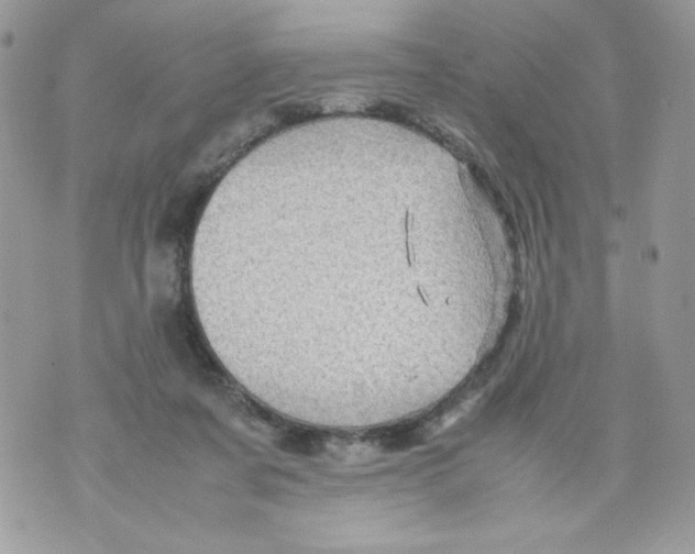 X0000070410311200607072316