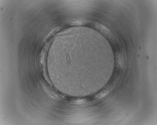 X0000070410312200607072316