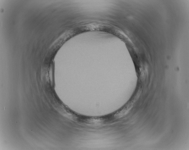 X0000070410313200607072316