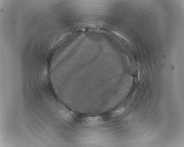 X0000070410314200607072316