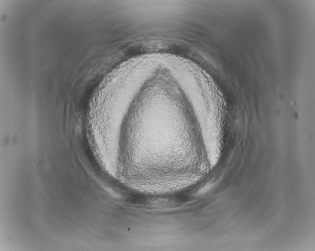 X0000070410315200607072316