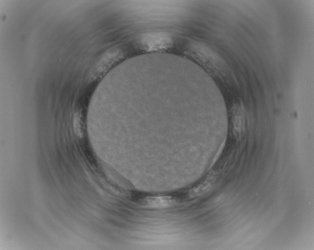 X0000070410316200607072316