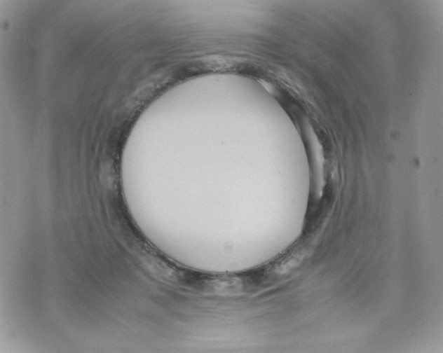 X0000070410317200607072316