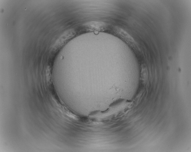 X0000070410318200607072316