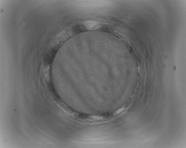 X0000070410319200607072315