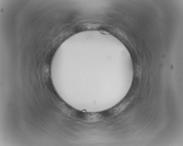 X0000070410321200607072315