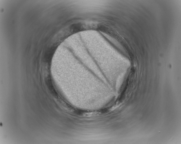 X0000070410323200607072315